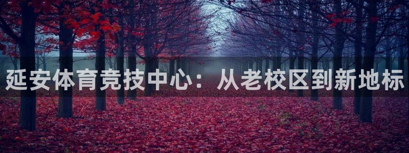 vsport体育官网下载招商电话号码是多少:延安体育竞技中心