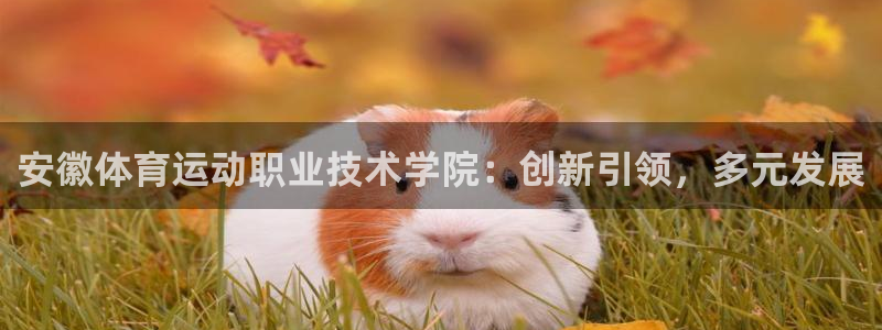 vsport体育官方正版app开户:安徽体育运动职业技术学院