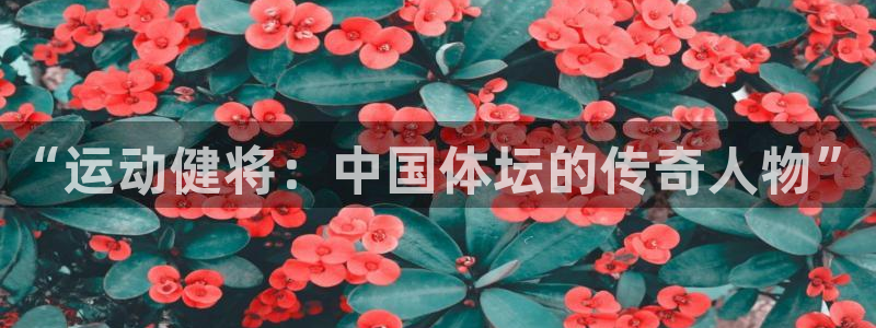 vsport体育官方正版app神州:“运动健将:中国体坛的传